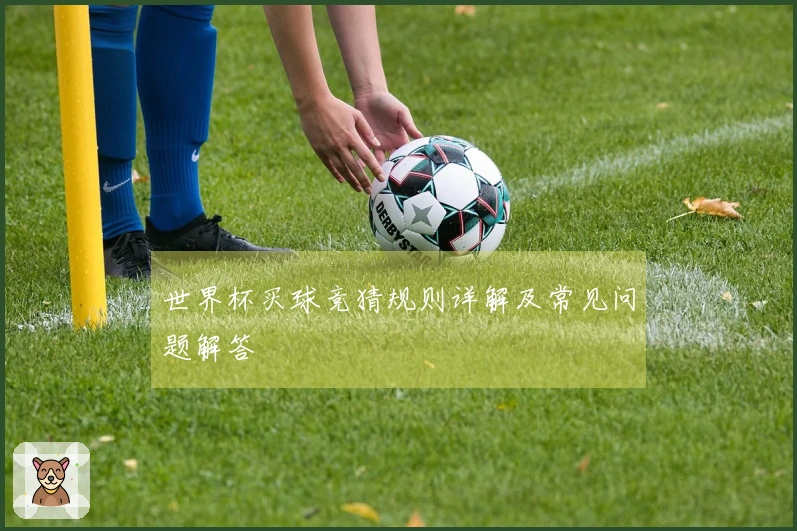 世界杯买球竞猜规则详解及常见问题解答