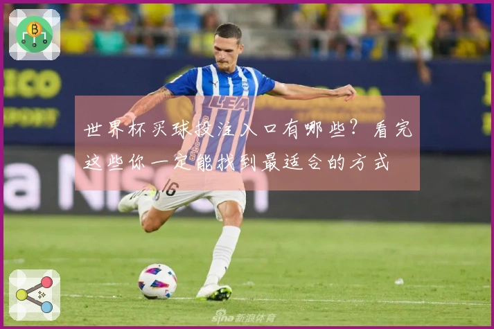 世界杯买球投注入口有哪些？看完这些你一定能找到最适合的方式